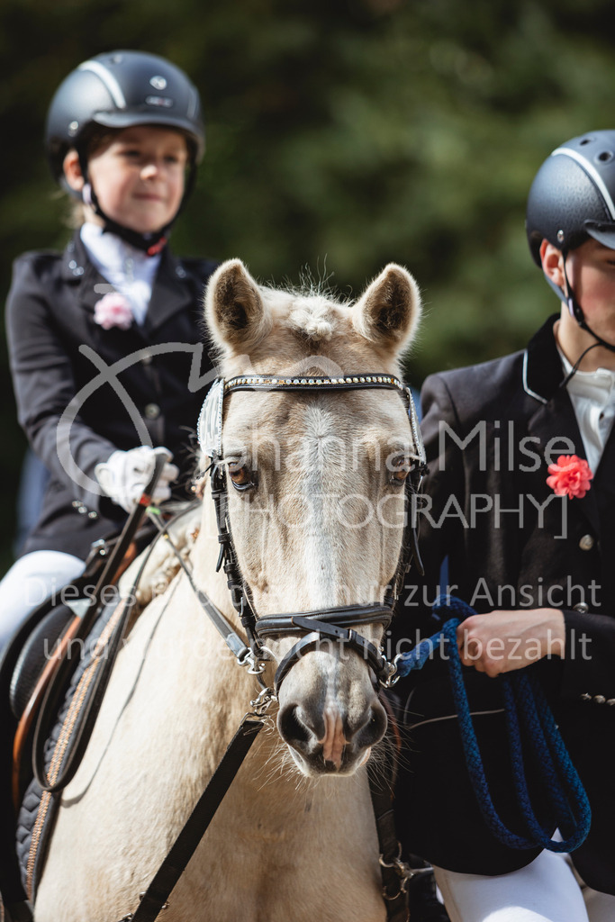 240915_OWLCh_FuehrzuegelWB-645 | Deine schönsten Turniermomente als professionelle Fotos! Entdecke hochwertige Pferdesport-Fotografie im Online-Shop. Jetzt Fotos finden & bestellen!