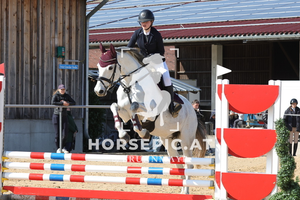 0P6A6455 | Willkommen bei Brunnmayr - Design & Fotografie – Ihrem Spezialisten für Reitturniere und Pferdeveranstaltungen in Oberösterreich, Salzburg und Bayern! Seit über 17 Jahren sind wir leidenschaftlich dabei.
