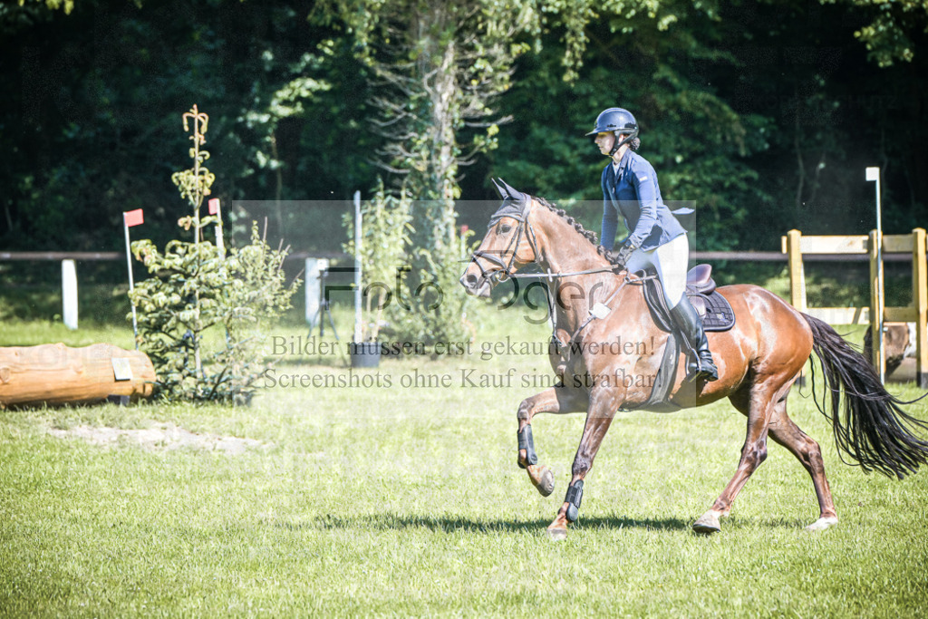 DOS_3431 | Entdecke hochwertige Reitturnierfotos von Foto Oger. Professionell, emotional und authentisch – jetzt Lieblingsmomente im Shop bestellen.Deutschlandweite Turnierfotografie. - Realisiert mit Pictrs.com