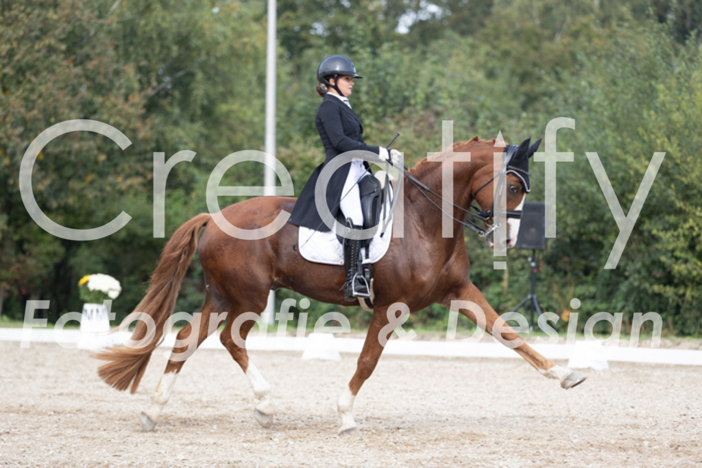 IMG_4732 | Creatify Fotografie