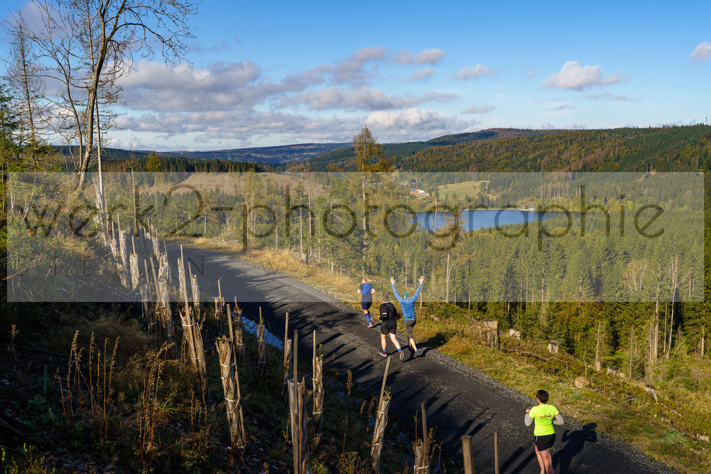Herbstlauf 2024 | Rennsteig-Herbstlauf von Neuhaus am Rennweg nach Masserberg am 6. Oktober 2024