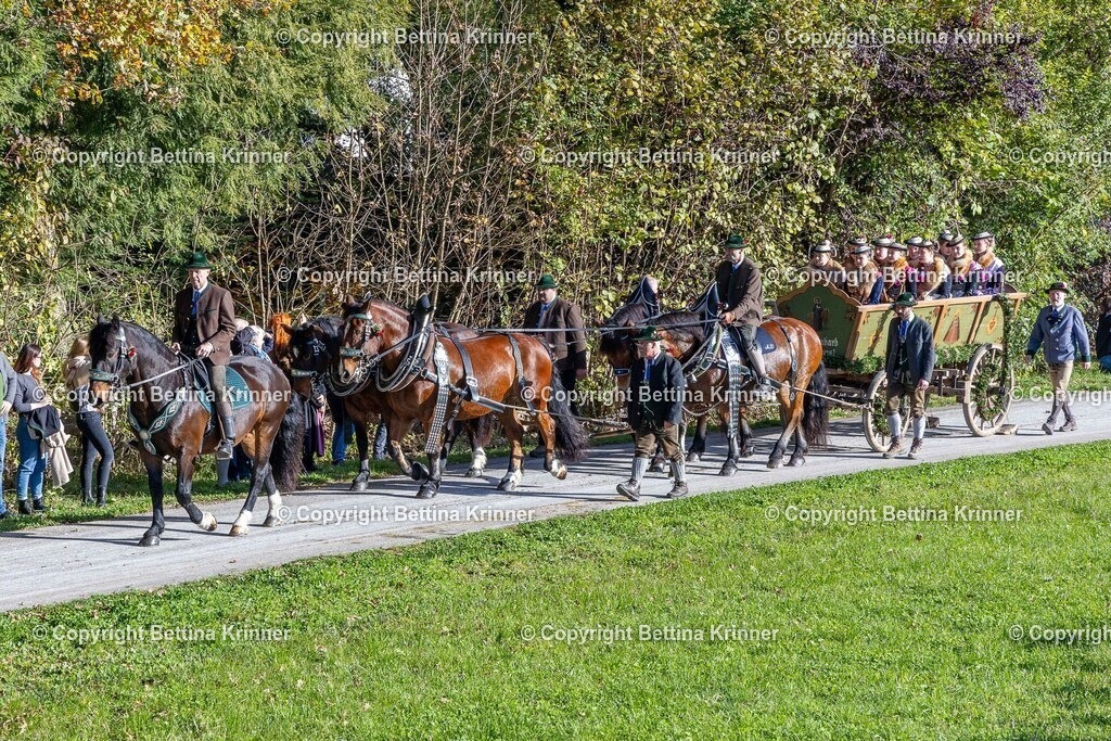 LBT24-741 | foto-bettina-krinner - Realisiert mit Pictrs.com