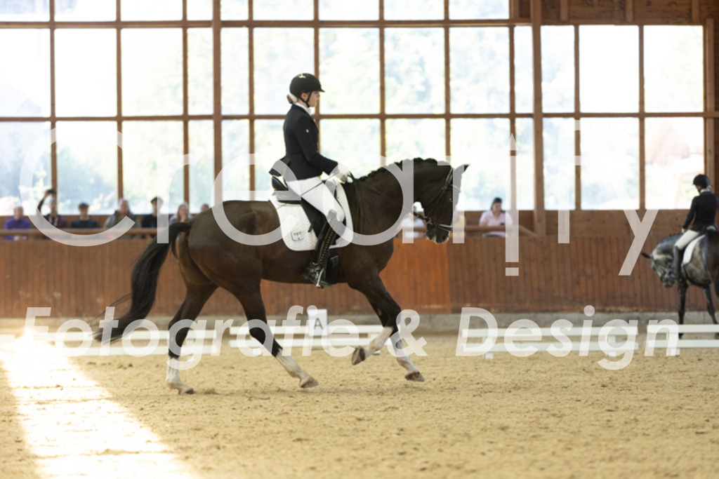 IMG_9035 | Creatify Fotografie