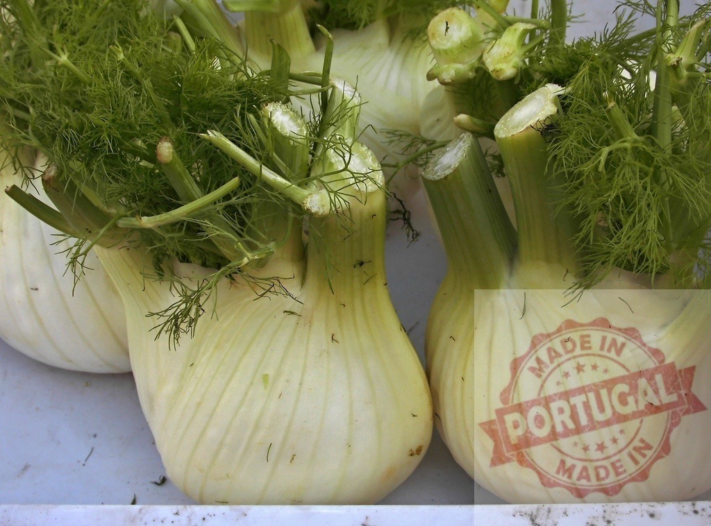 Fresh fennel bulbs with green fronds | Fennel bulbs with green leafy tops, ready for cooking or eating - Realized with Pictrs.com