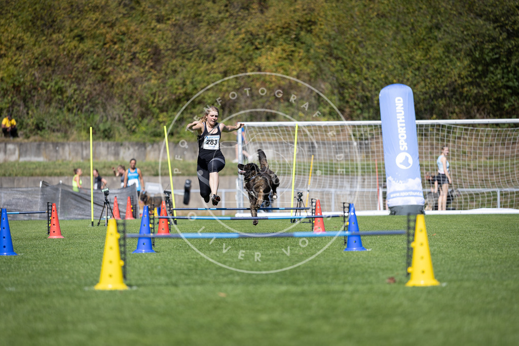 Pfotenfotografie_DV3A7164 | Hundefotografie, Tierfotograf, Pfotenfotografie, Fotoshooting Hund, Hunde Portrait, Hundesport, Hundeportraits, Heideshooting, Hunde, Sportfotograf, Hundefotograf, Turnierhundsport, THS,  - Realisiert mit Pictrs.com