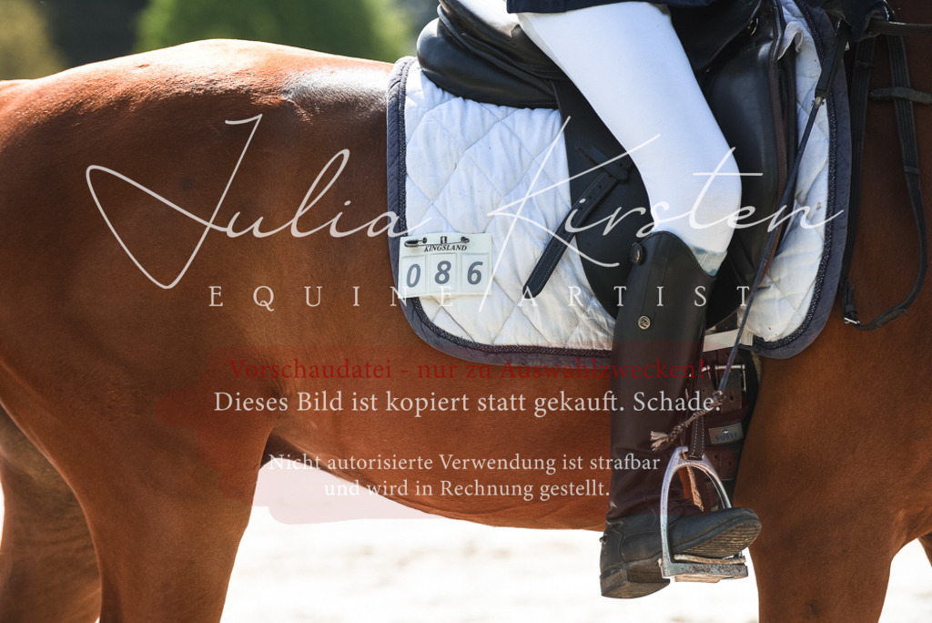 20230518_JK-Röhrsdorf-09-1474 | Pferde- und Turnierfotografie in Westsachsen. Pferdeportraits, Auftragszeichnungen und intuitive Kunst.