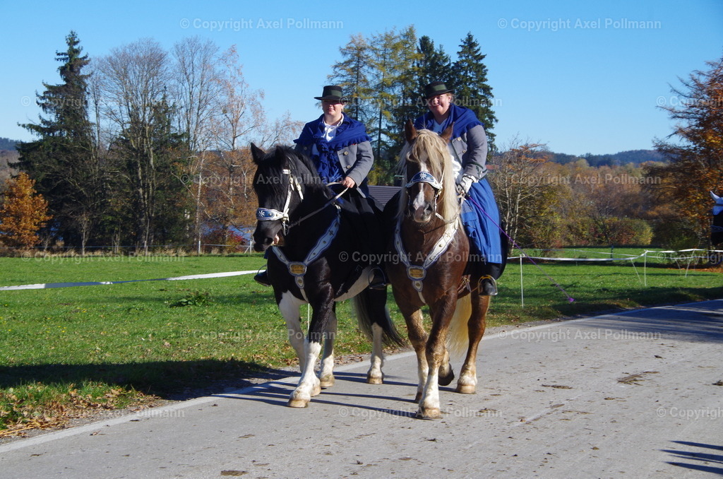 IMGP8538 | fotografiert von Axel PollmannLeonhardi Wallfahrt Benediktbeuern und Murnau, Fronleichnam, Fasching, Landschaft im Loisachtal und Benediktbeuern  - Realisiert mit Pictrs.com