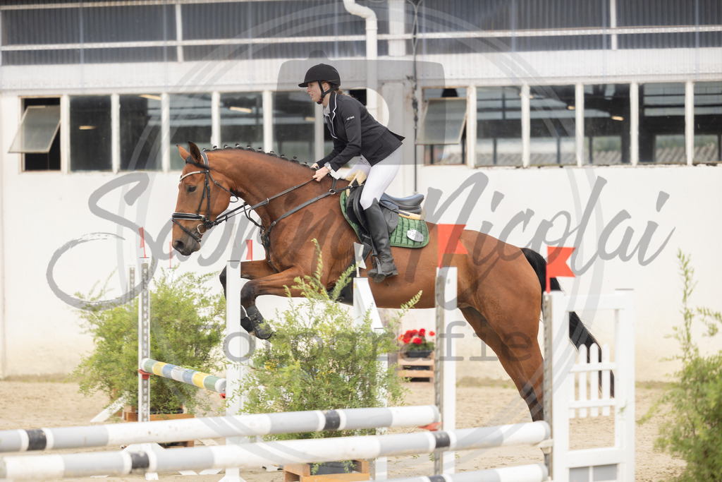 994A9588 | sabrinanicolaifotografie - Realisiert mit Pictrs.com