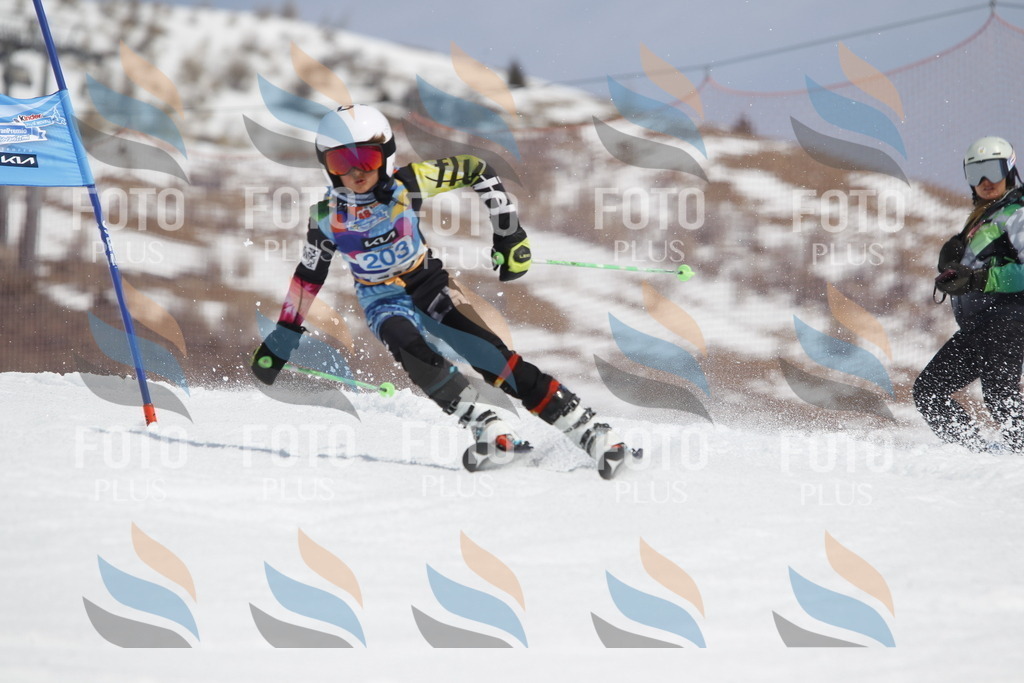 _U3G2093 | holidayphoto