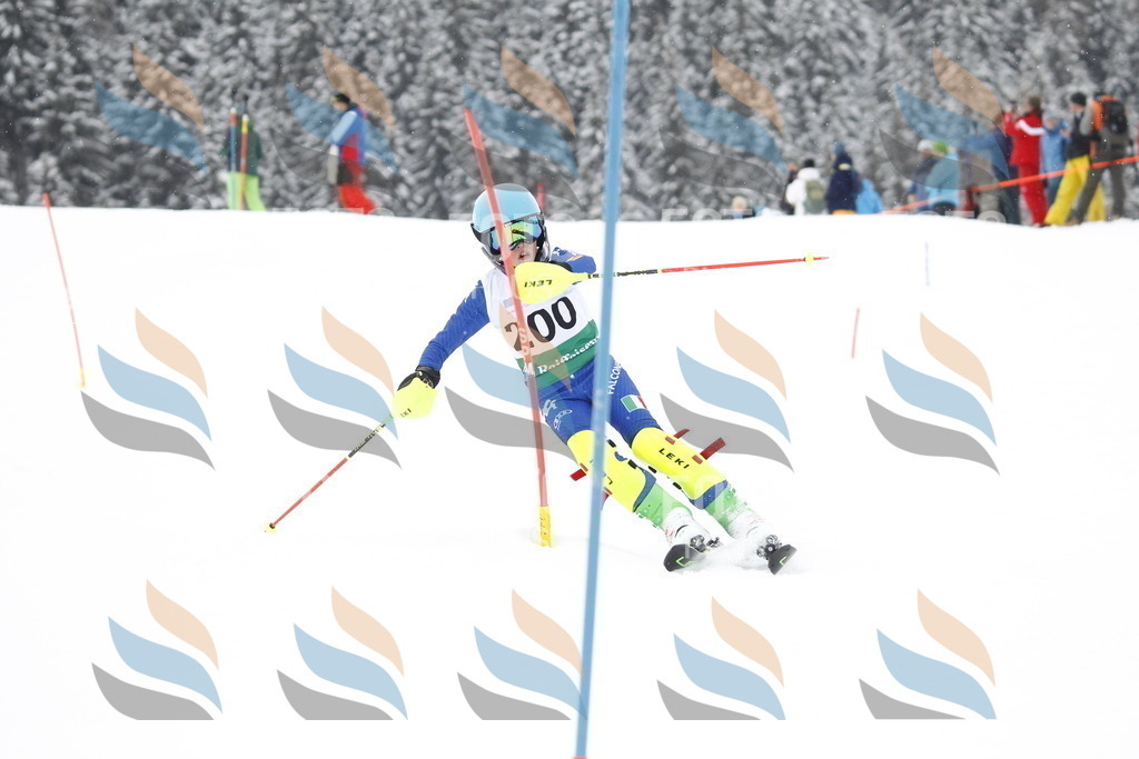 A2001 | holidayphoto