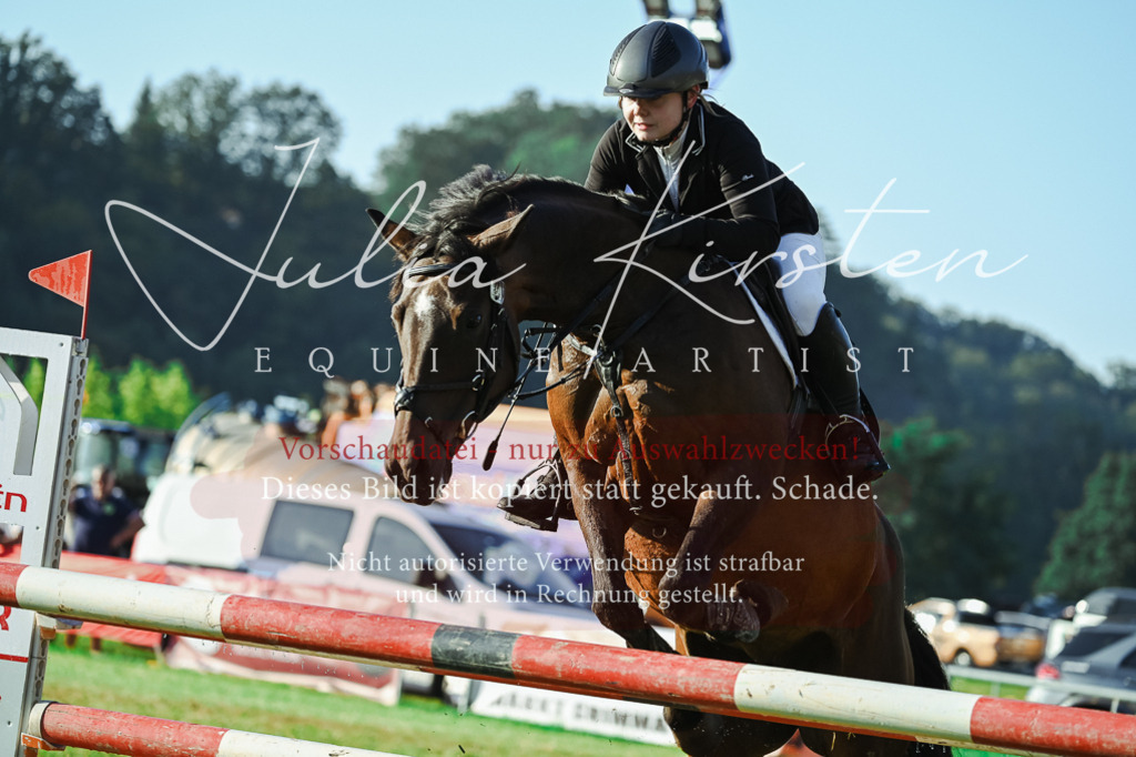 DSC_4289 | Pferde- und Turnierfotografie in Westsachsen. Pferdeportraits, Auftragszeichnungen und intuitive Kunst.