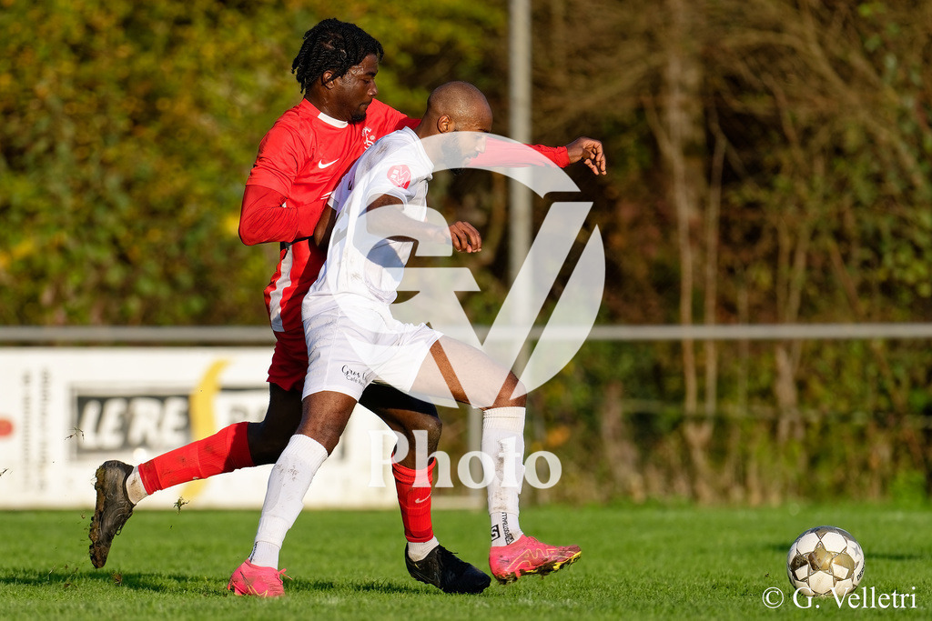 DZ9_1531 | Velletri Photo