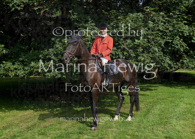 09-23 JAgd PerdölDSC02153_Marina Hewig | Fotografie, FotoArt, PferdesportArt, Pferdesportfotografie, Landschaftsfotografie, Reisefotografie, Reise, Pferde - Realisiert mit Pictrs.com