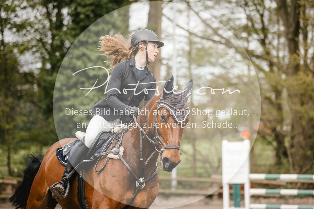 3I6A3165 | Stimmungsvolle Portraits und Reitsportfotografie im Ruhrgebiet und im Münsterland.

Pferdefotografie, Hundefotografie, Tierfotografie, Reportagen, Portraits von Tier und Mensch, Turnierfotografie in Bochum, Recklinghausen, Marl, Haltern am See, Dülmen.. - Realisiert mit Pictrs.com
