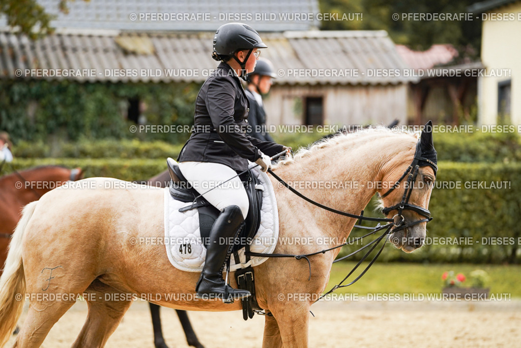 DSC00289 | Pferdegrafie