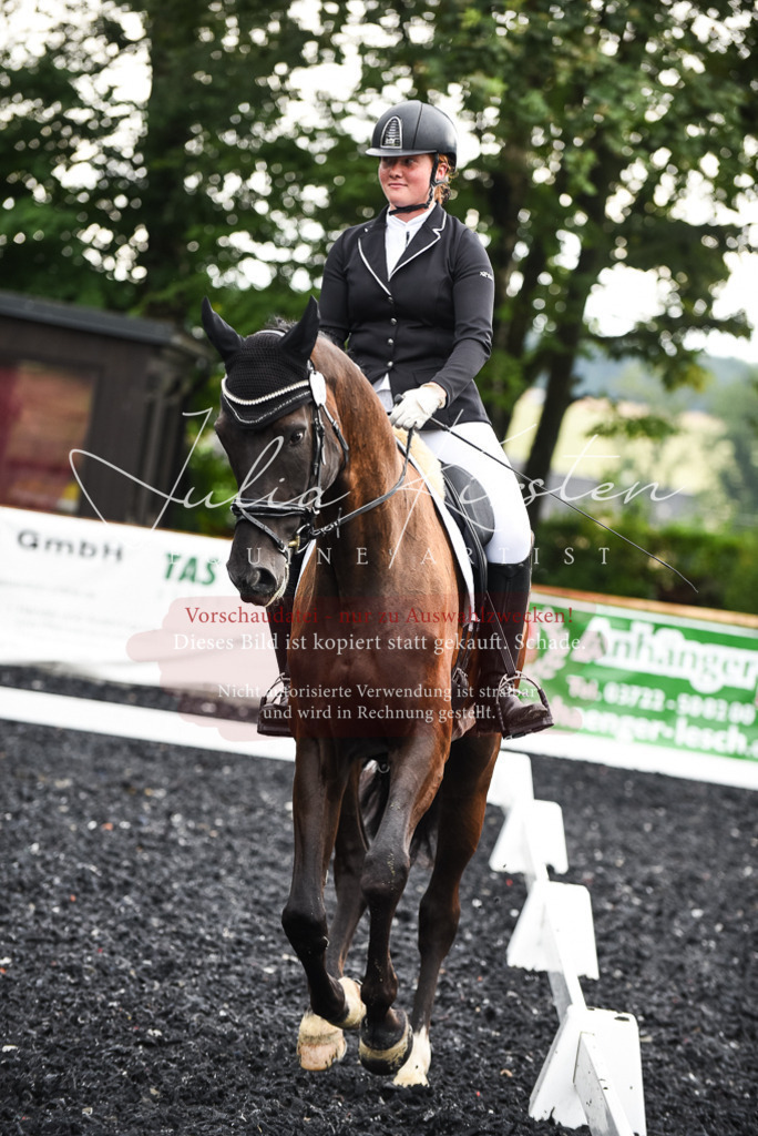 DSC_2816 | Pferde- und Turnierfotografie in Westsachsen. Pferdeportraits, Auftragszeichnungen und intuitive Kunst.