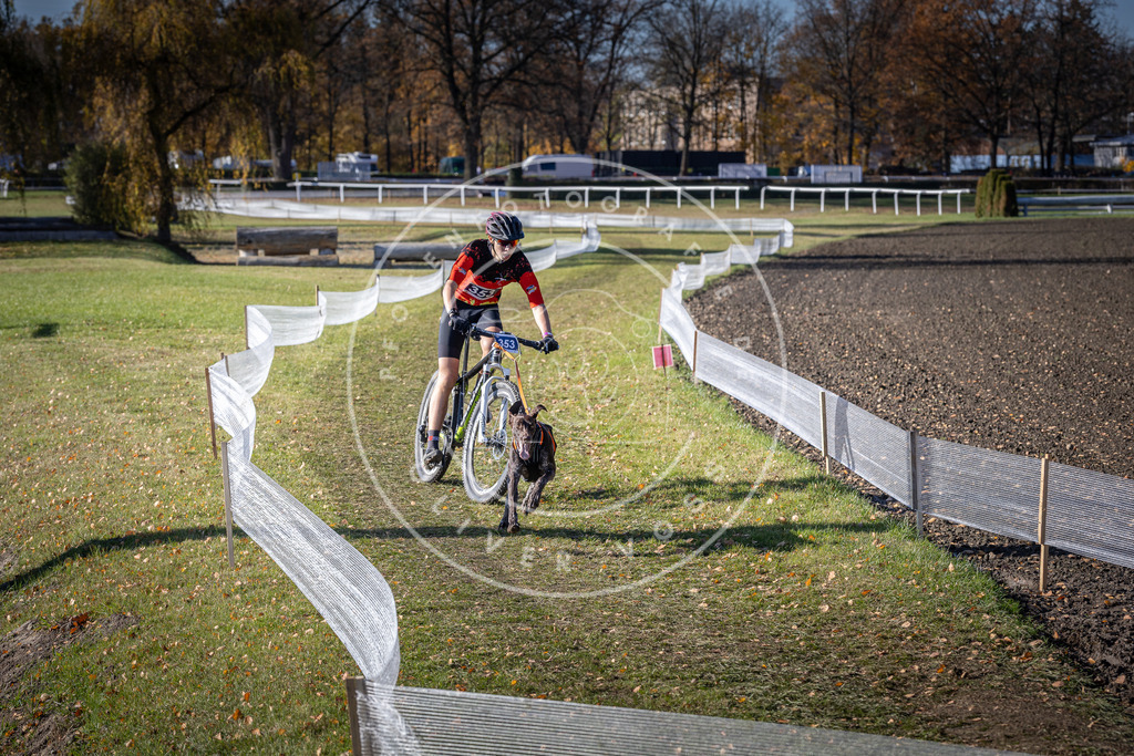 CaniXpix_DV3A7206 | Hundefotografie, Tierfotograf, Pfotenfotografie, Fotoshooting Hund, Hunde Portrait, Hundesport, Hundeportraits, Heideshooting, Hunde, Sportfotograf, Hundefotograf, Turnierhundsport, THS,  - Realisiert mit Pictrs.com