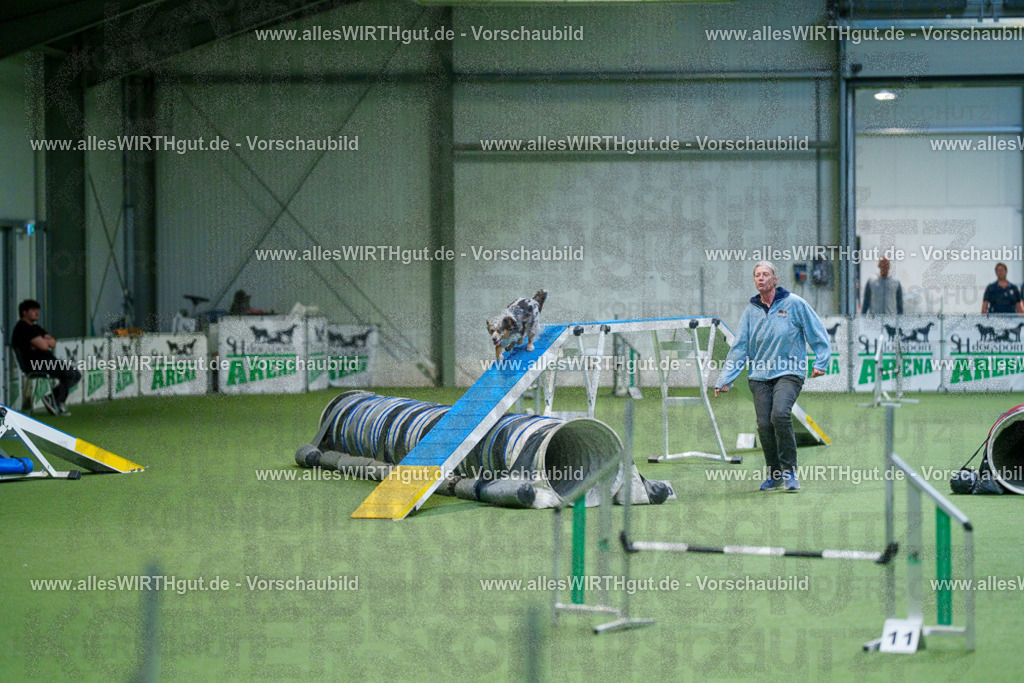 @allesWIRTHgut_Tierfotografie - www.allesWIRTHgut.de - 2604250842-7R507470 | Professionelle Tierfotografie in Mönchengladbach von Daniel Wirth (allesWIRTHgut). Liebevolle & natürliche Bilder von Hunden & Katzen für unvergessliche Erinnerungen.