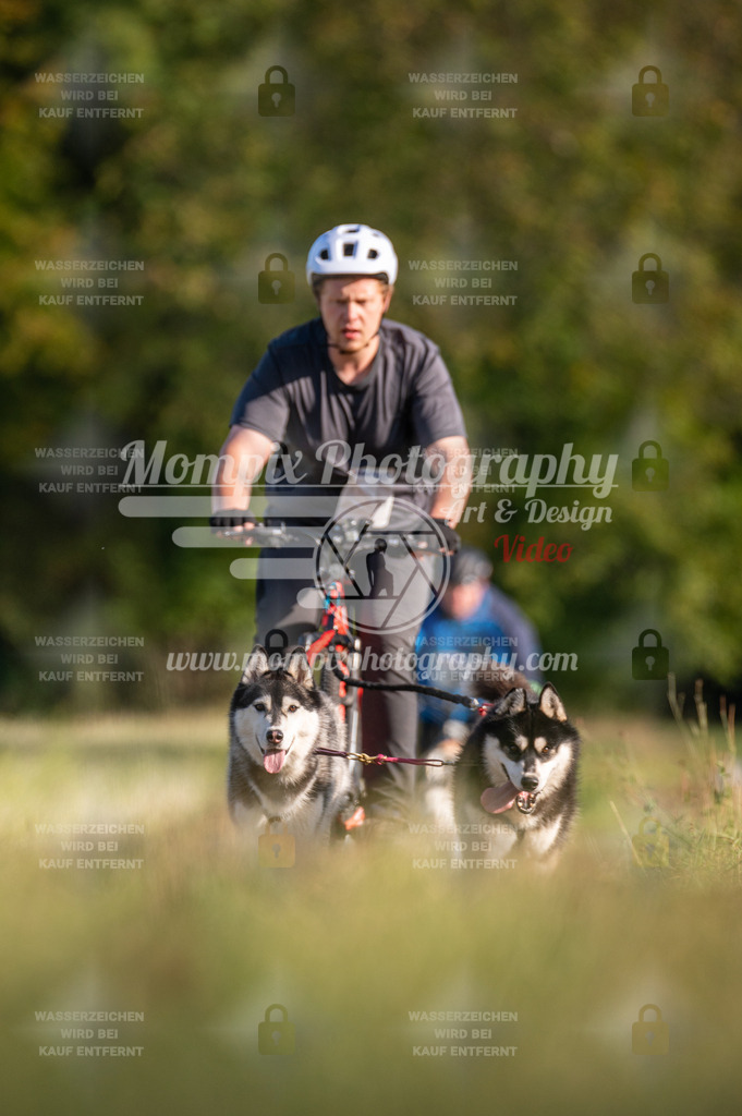 CDLBDB_15_10_2023_Dimanche-359 | mompixphotography