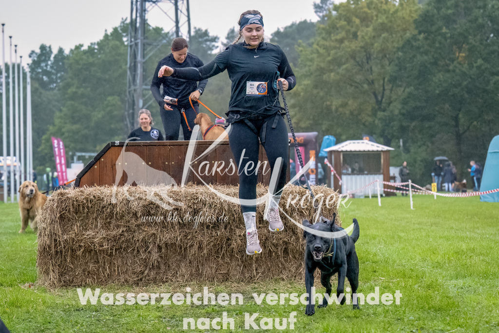 1012--5 | kk-dogfotos