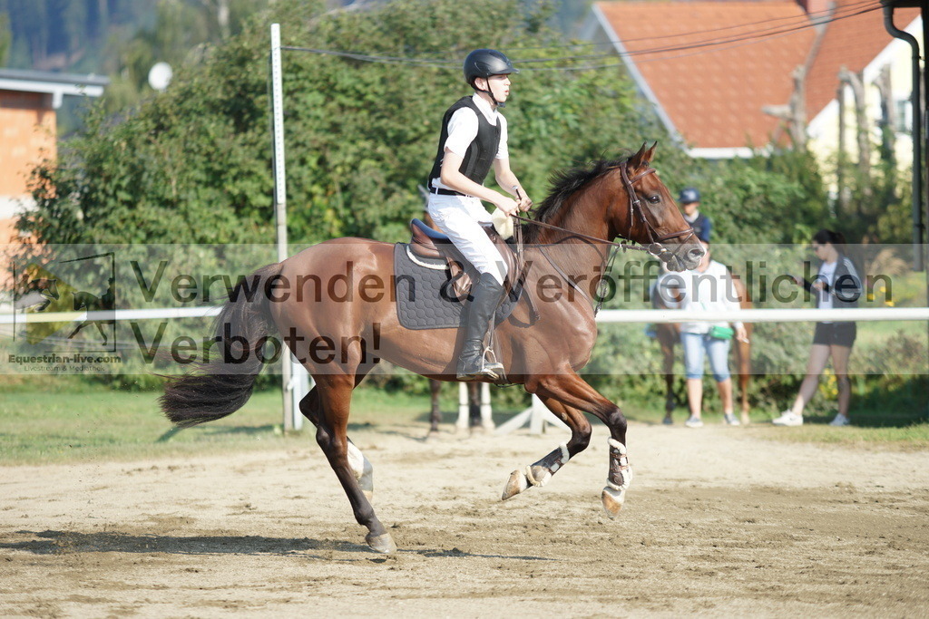 DSC02819 | equestrian-live-com