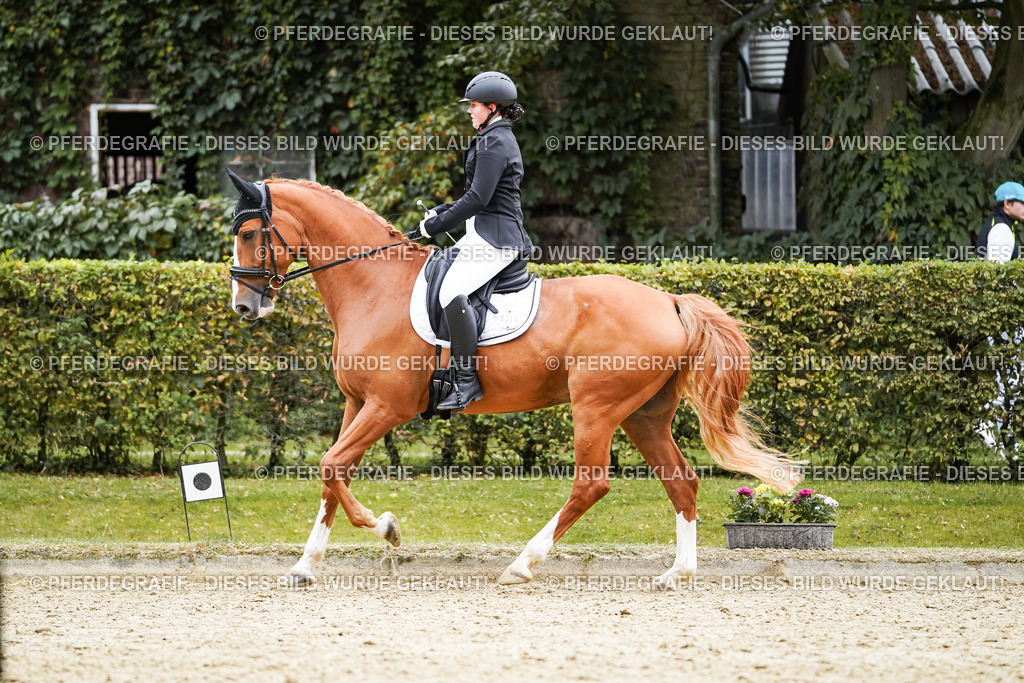 DSC01057 | Pferdegrafie