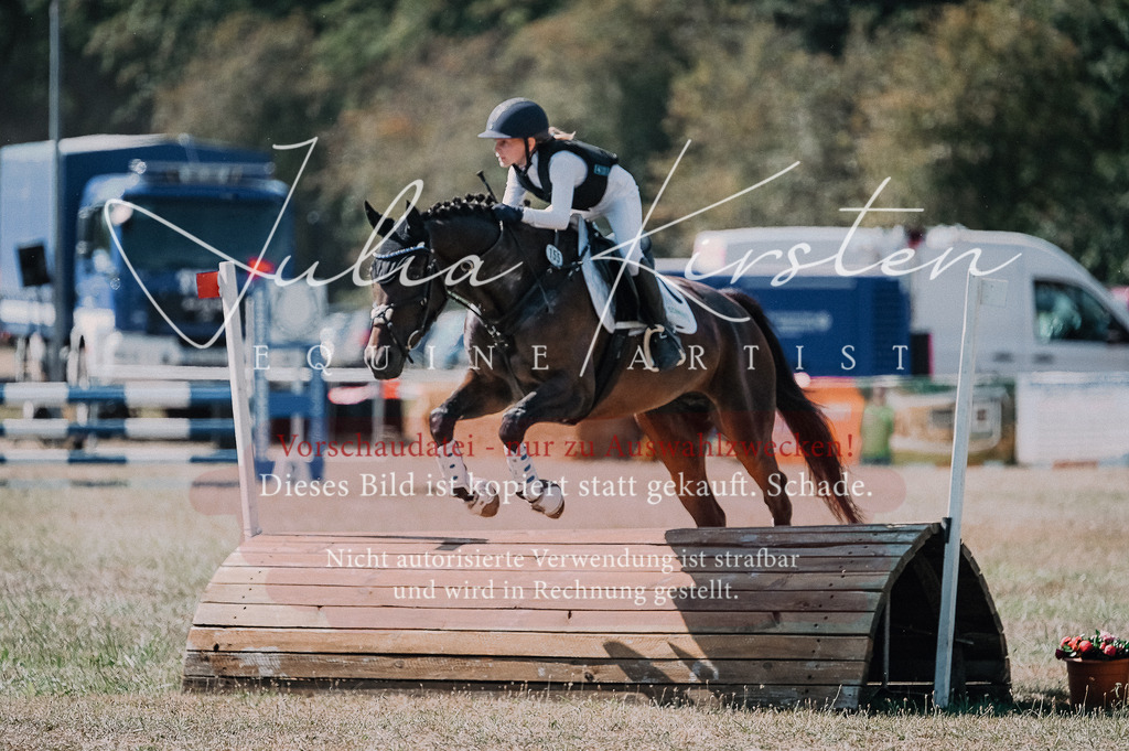 DSC_8005 | Pferde- und Turnierfotografie in Westsachsen. Pferdeportraits, Auftragszeichnungen und intuitive Kunst.