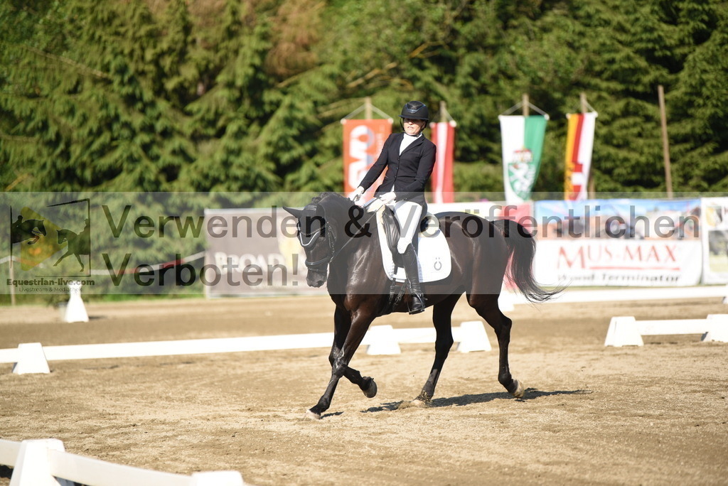 DSC_7024 | equestrian-live-com