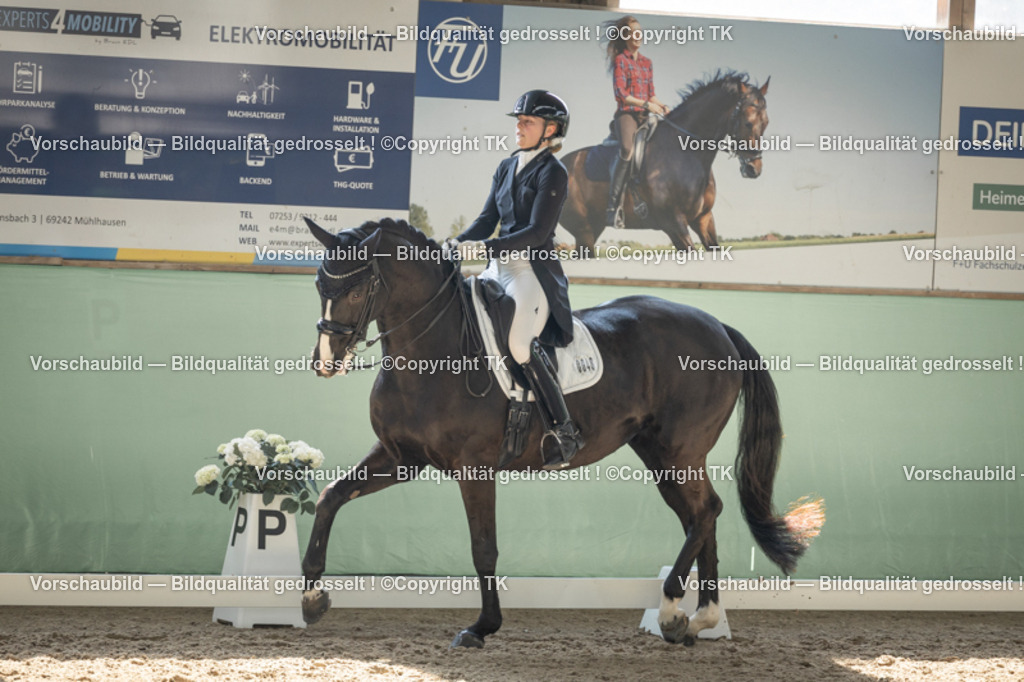 _D5A2095 | Emotionale Pferde- & People-Fotografie rund um Heidelberg, Leimen & Umgebung. Natürliche Fotos von Pferd, Mensch & Familie. Jetzt Termin sichern!