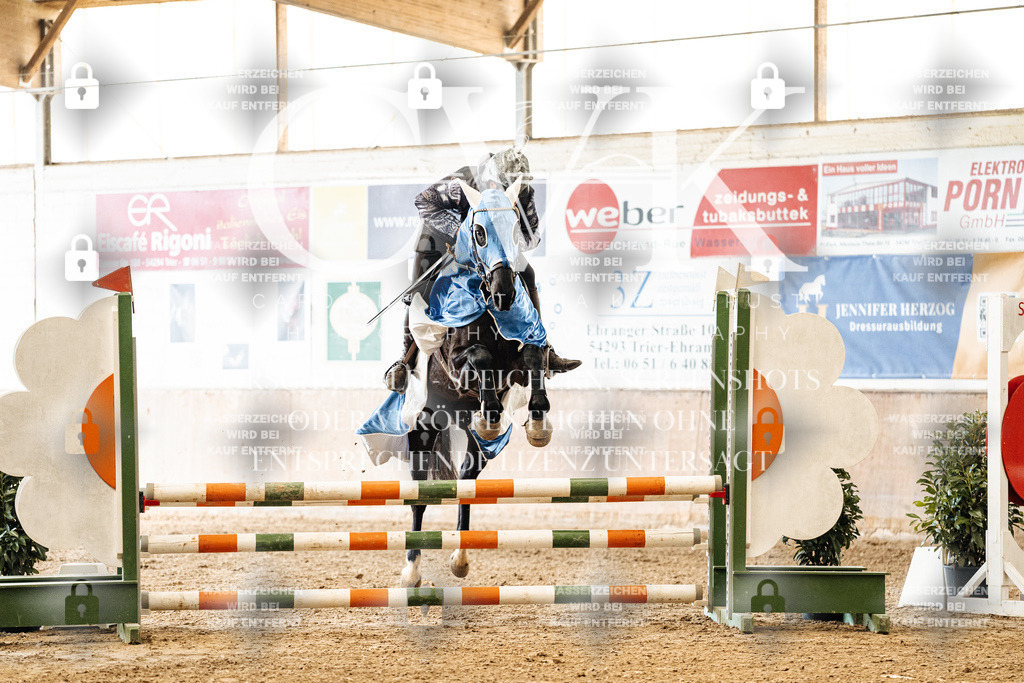 CK905433 | Turnierfotografie Pferdefotografie Trier Rheinland-Pfalz Pferdesport Reitsport Tierfotografie Sportfotografie Pferdevideo Pferdevideografie Equestrianvideography equestrianphotography  - Realized with Pictrs.com