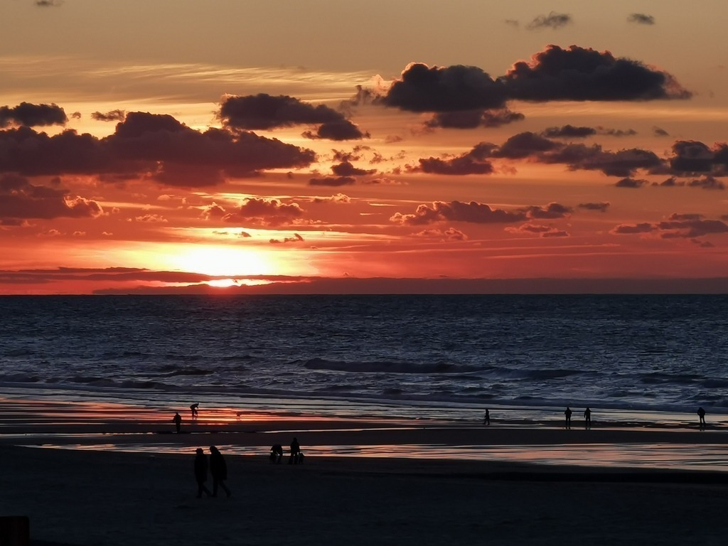 IMG_20240928_193126 | Pandiboo - Realisiert mit Pictrs.com