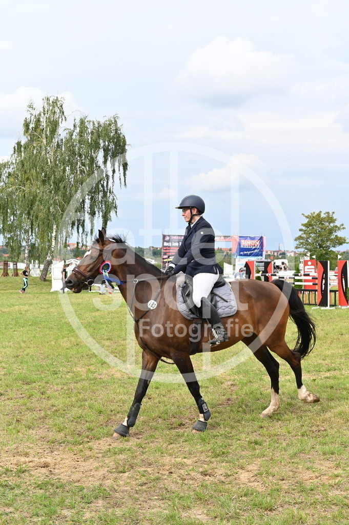 DSC_3831 | sattelsport - Realisiert mit Pictrs.com