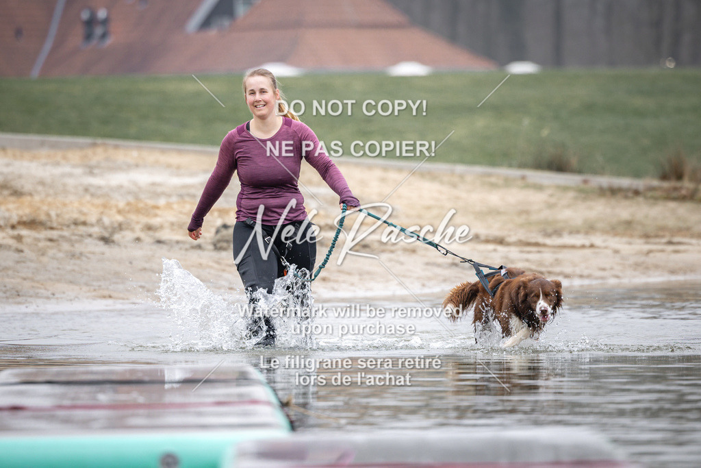nelerasche_Hulsbeek_Sa0845-1030_542 | nelerasche