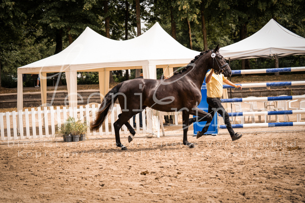 5.Fr00015 | Leoni Ertmer Photography - Realisiert mit Pictrs.com