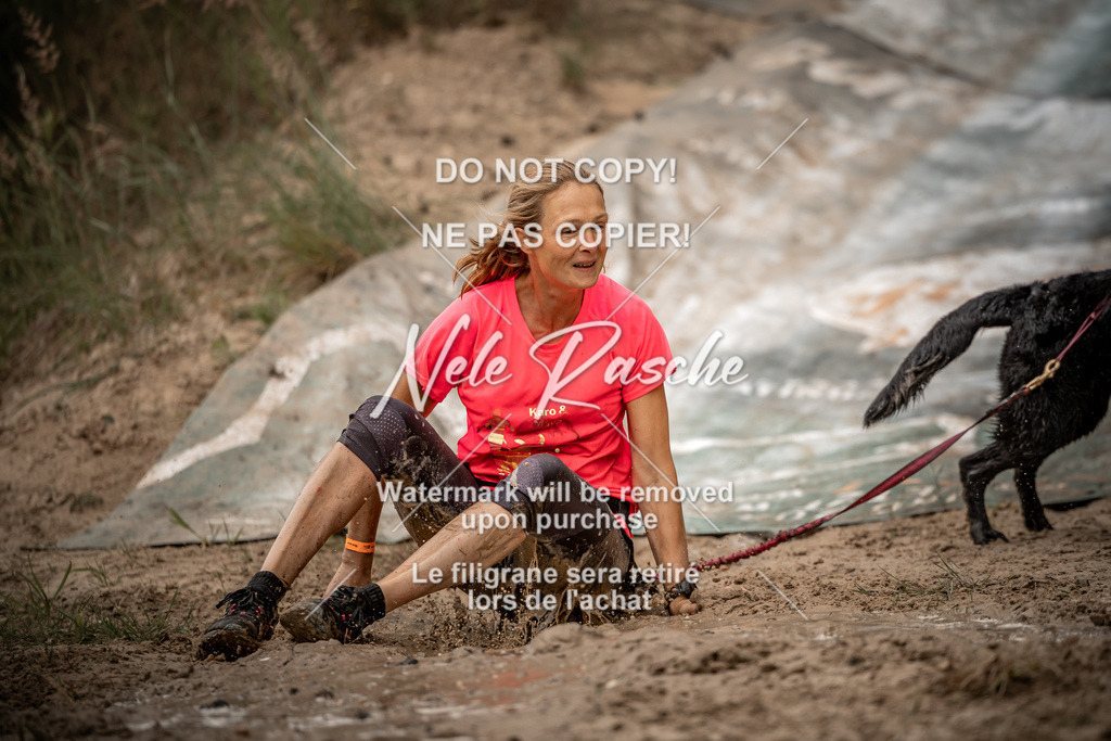 nelerasche_sa0800-1000_453 | nelerasche
