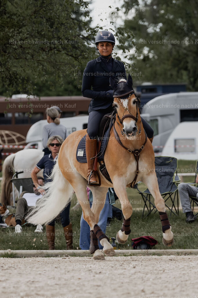 WE_ST_Stoib_308_PI2025_983 | Pferd International München 2025