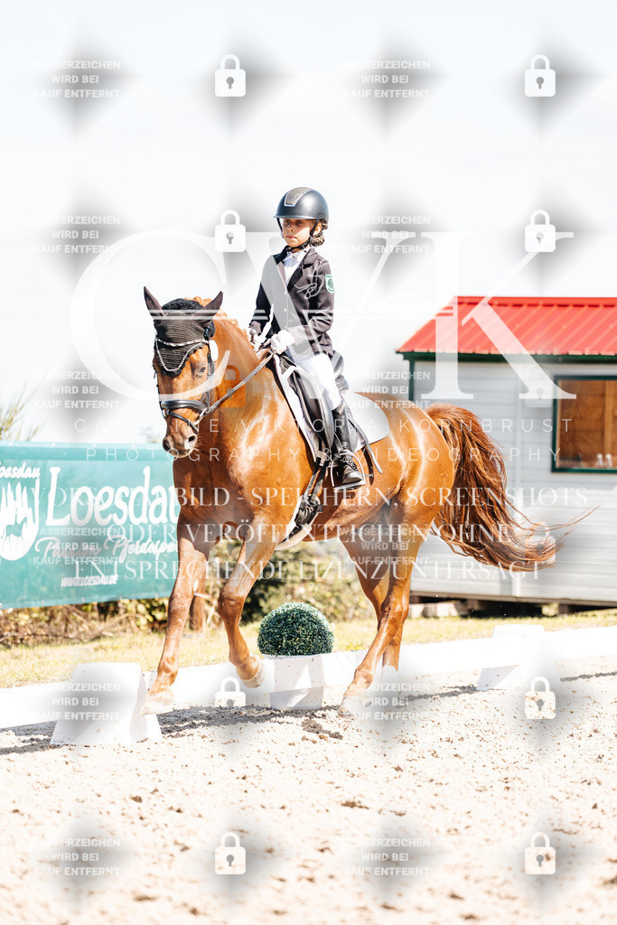 CK903093 | Turnierfotografie Pferdefotografie Trier Rheinland-Pfalz Pferdesport Reitsport Tierfotografie Sportfotografie Pferdevideo Pferdevideografie Equestrianvideography equestrianphotography  - Realisiert mit Pictrs.com