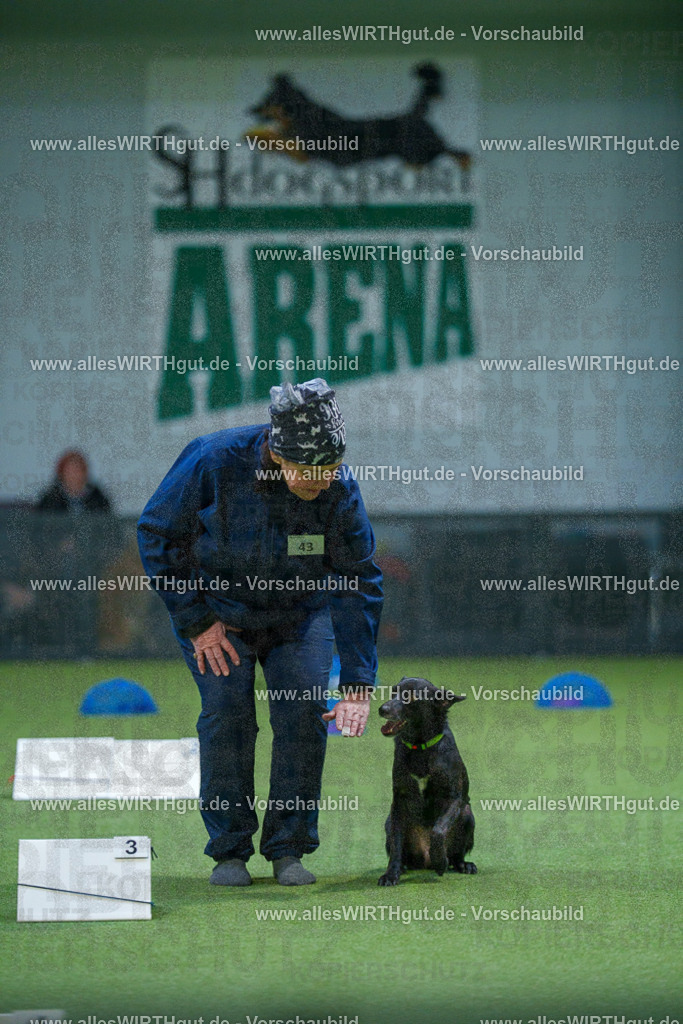 7R501211 | Professionelle Tierfotografie in Mönchengladbach von Daniel Wirth (allesWIRTHgut). Liebevolle & natürliche Bilder von Hunden & Katzen für unvergessliche Erinnerungen.