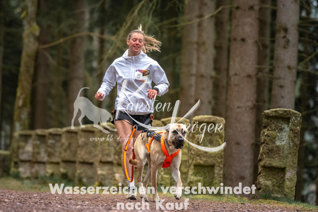 0807DZ6_2936 | kk-dogfotos