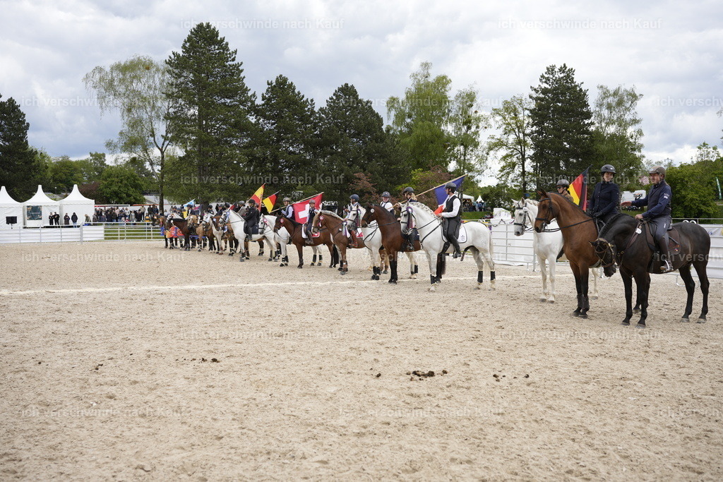 PI26_Sehrung_COW_StoibphotographyPI26_BTS_COW_Stoibphotography_A749734.JPG.JPG | working equitationturnier fotograf videograf stoibphotography marixx film working equitation deutschland reitsport turnierfotografie eventfotografie equestrian events