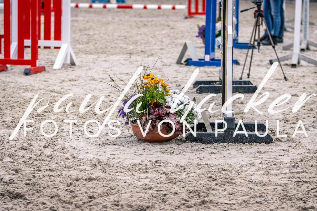 IMG_6108 | Erleben Sie dynamische Sport- und emotionale Tierfotografie in Süddeutschland mit Fotos von Paula. Spezialisiert auf Pferde- und Hundefotografie sowie Sportevents. Kontaktieren Sie mich für einzigartige und ausdrucksstarke Bilder Ihrer besonderen Momente.