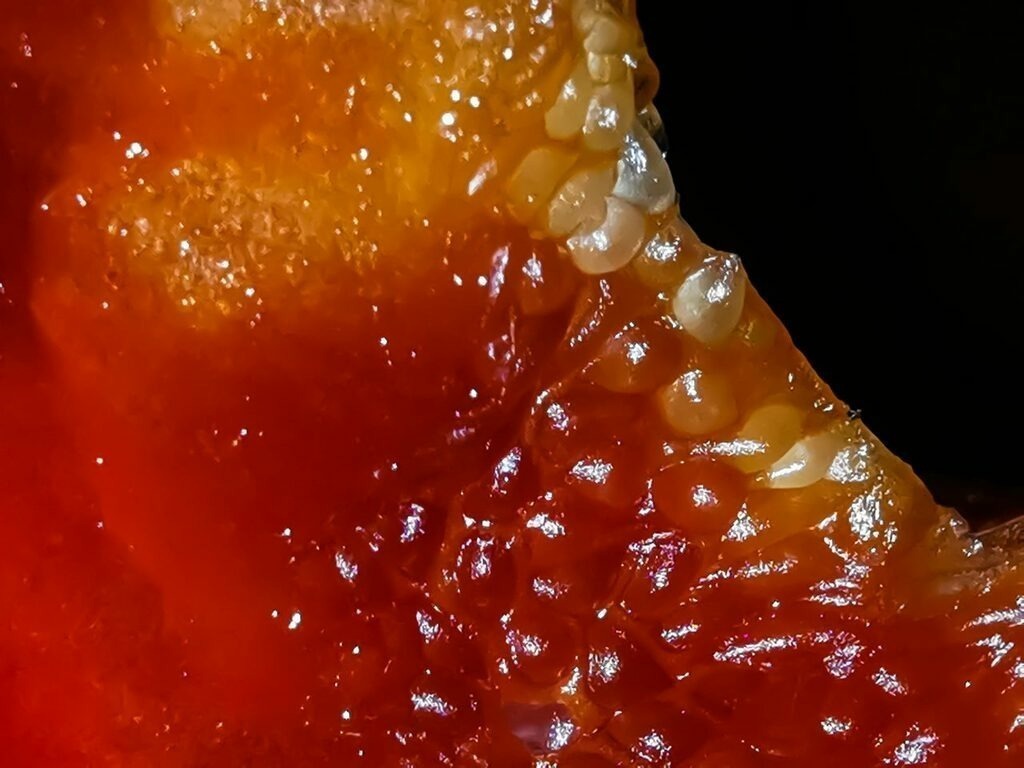 PSX_20230104_225717 | mtkfoto_ - Realisiert mit Pictrs.com