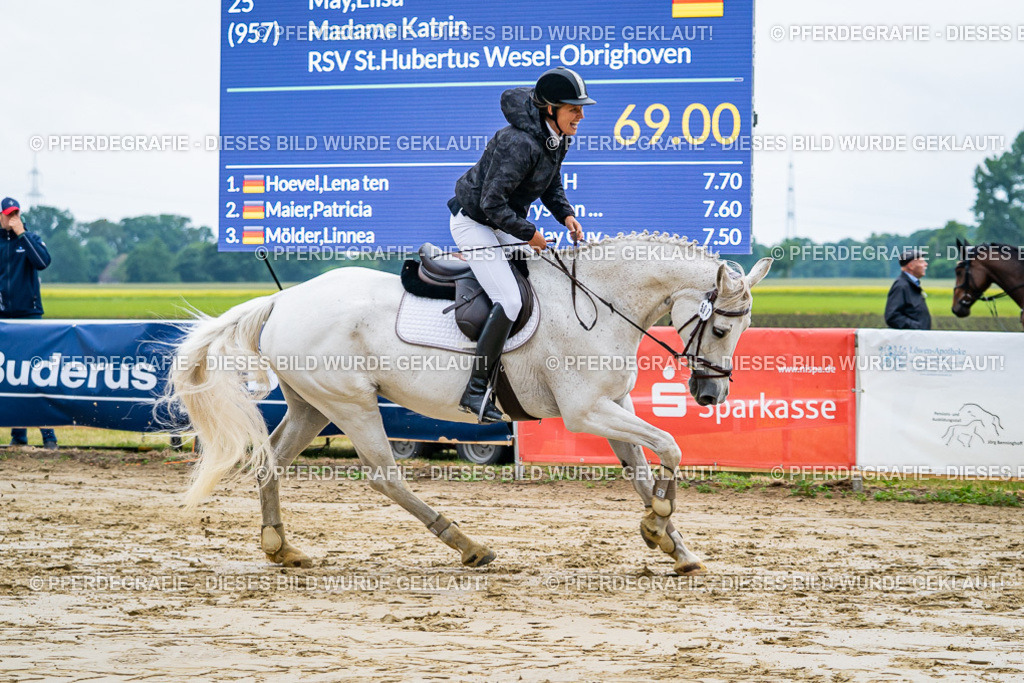 DSC02403 | Pferdegrafie