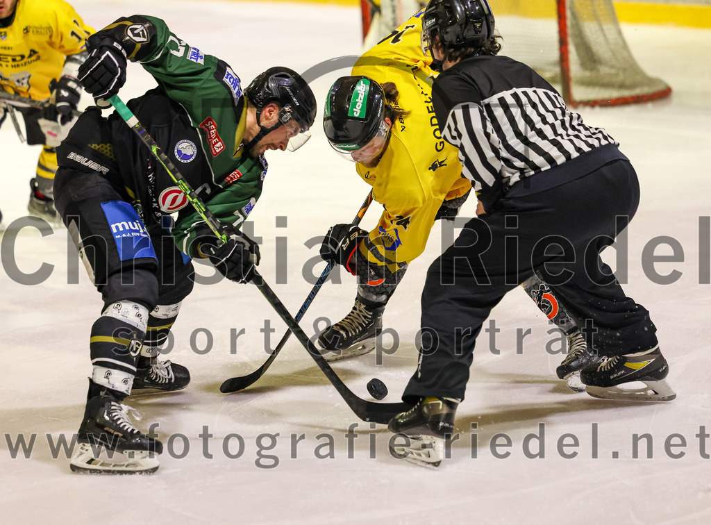 2023-02-10_115_TSV_Erding_gegen_ERSC_Amberg | Erding, Deutschland, 10.02.2023:
Eishockey, Bayernliga Meisterrunde Gruppe B 2022 / 2023, 3. Spieltag, TSV Erding gegen ERSC Amberg, Endergebnis: 6:3

Philipp Michl (Erding Gladiators, #77)

Foto: Christian Riedel / fotografie-riedel.net