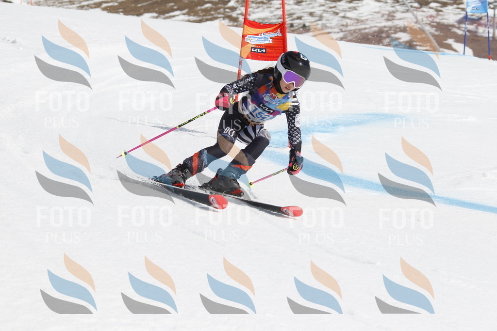 _U3G1268 | holidayphoto