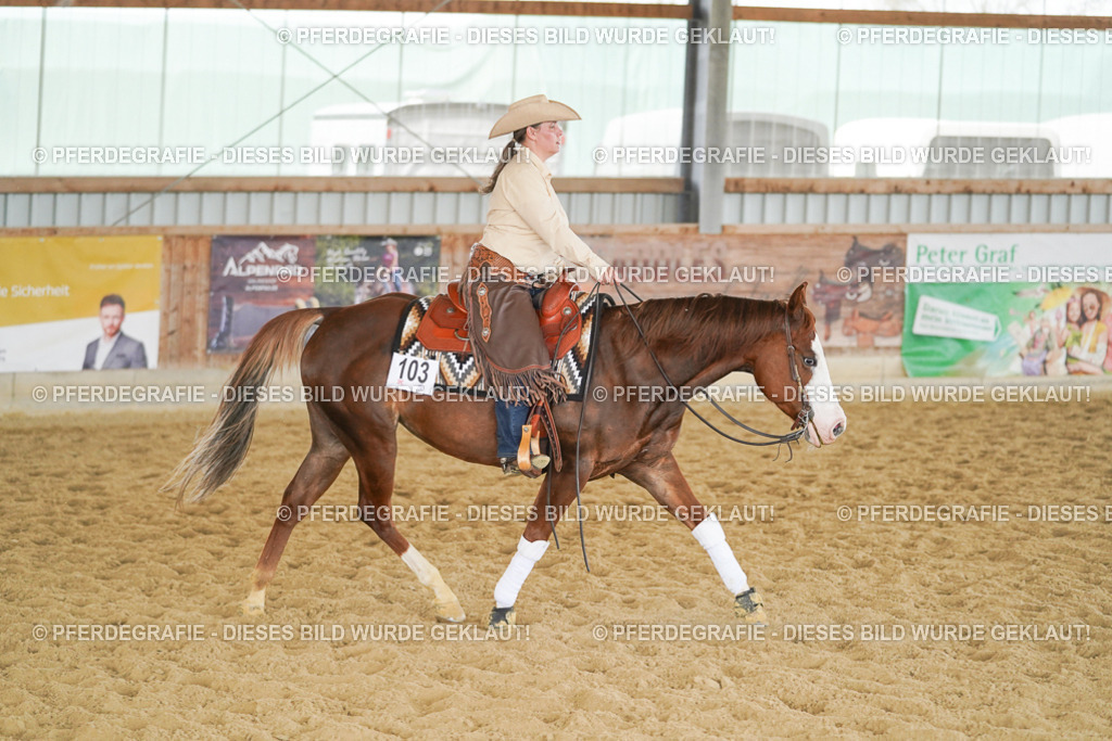 DSC06311 | Pferdegrafie