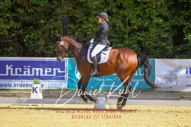 DKP41950 | Turniersportfotografie; Pferdefotografie; Dressurfotografie