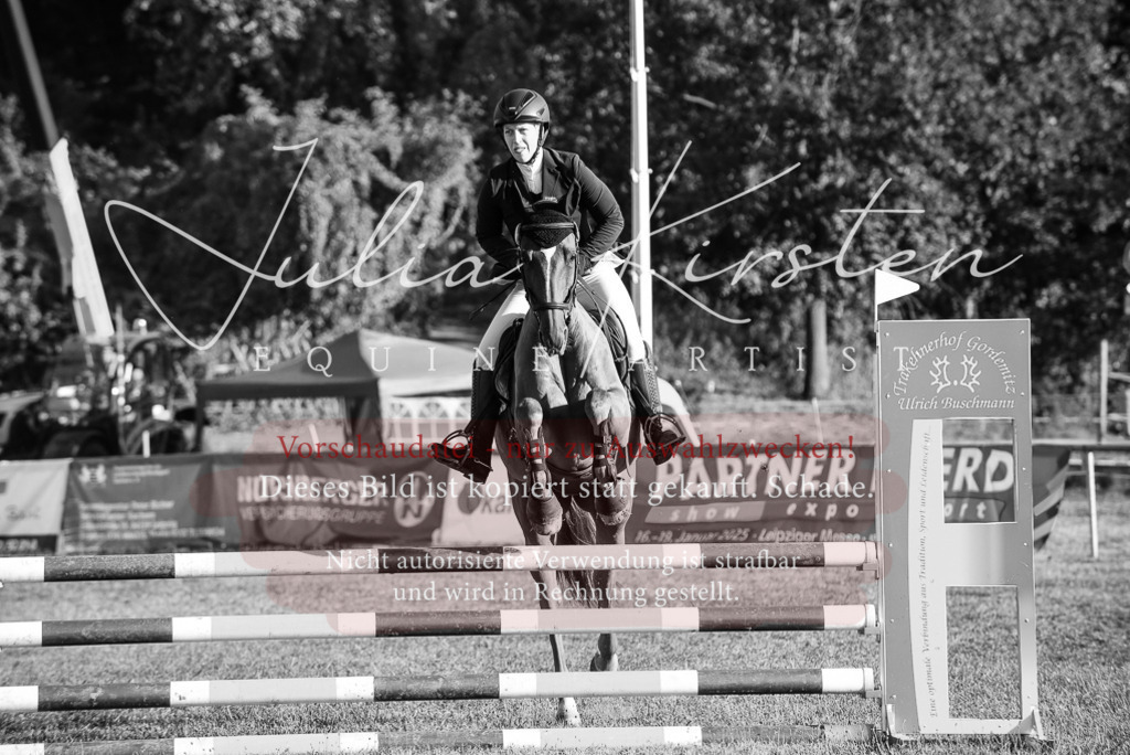 DSC_4896 | Pferde- und Turnierfotografie in Westsachsen. Pferdeportraits, Auftragszeichnungen und intuitive Kunst.