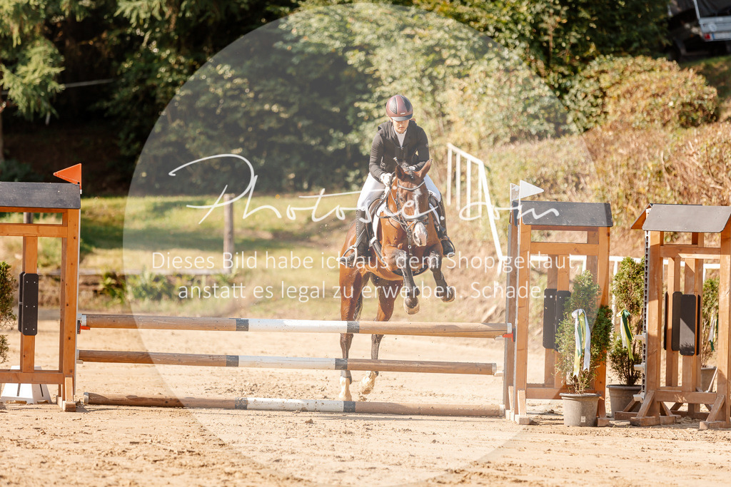 3I6A3302 | Stimmungsvolle Portraits und Reitsportfotografie im Ruhrgebiet und im Münsterland.

Pferdefotografie, Hundefotografie, Tierfotografie, Reportagen, Portraits von Tier und Mensch, Turnierfotografie in Bochum, Recklinghausen, Marl, Haltern am See, Dülmen.. - Realisiert mit Pictrs.com