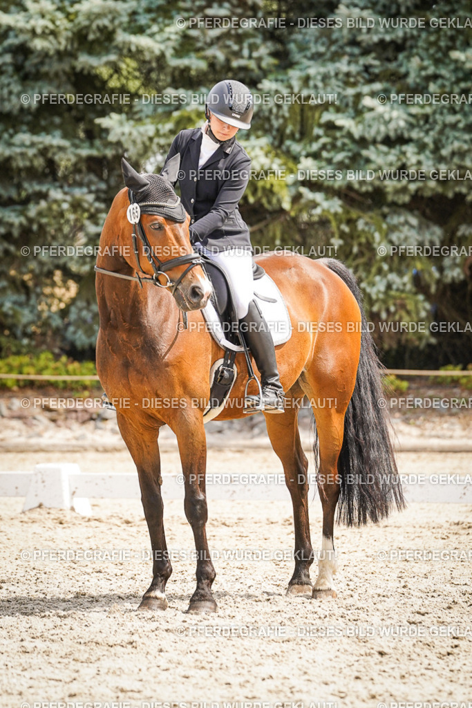 DSC02179 | Pferdegrafie